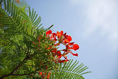 消息称任天堂的确考虑过Switch Pro不过已改变策略